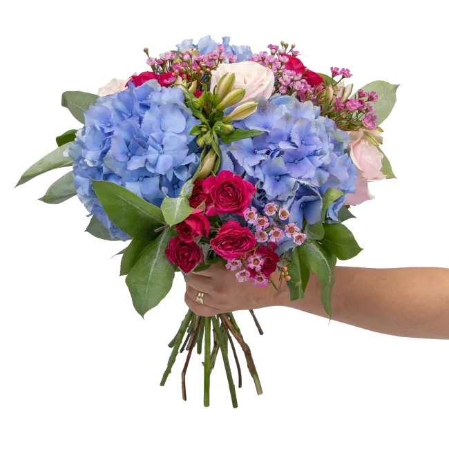 Bouquet of hydrangea